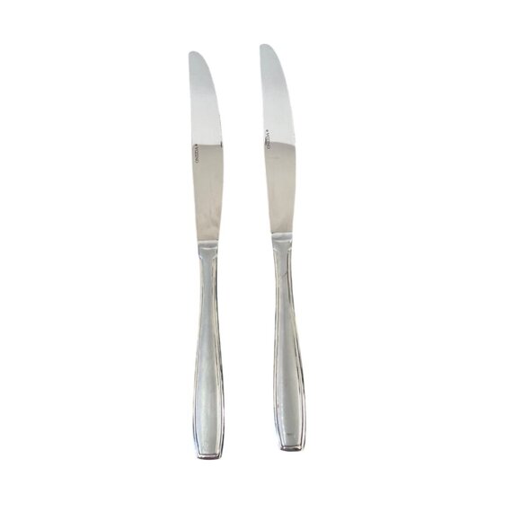 Vtg Oneida Satin Bristol Everdale Pattern Dinner Knife Set 2 Stainless Flatware - Picture 2 of 4